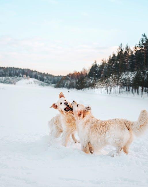 Understanding Common Puppy Allergies and How to Manage Them