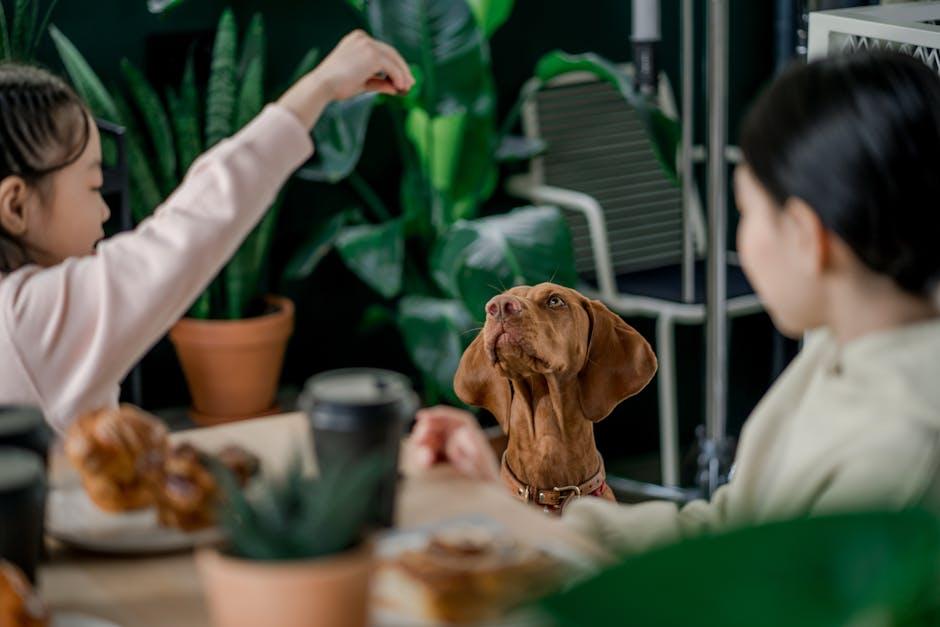 Creating a Consistent Feeding Routine for Optimal Digestion