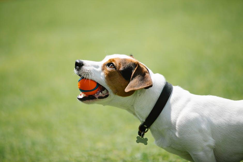 Strengthening Bonds: Games that Foster Trust and Obedience