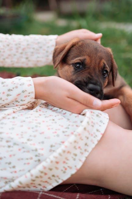 Monitoring Growth and Health: Adjusting the Diet as Your Puppy Grows