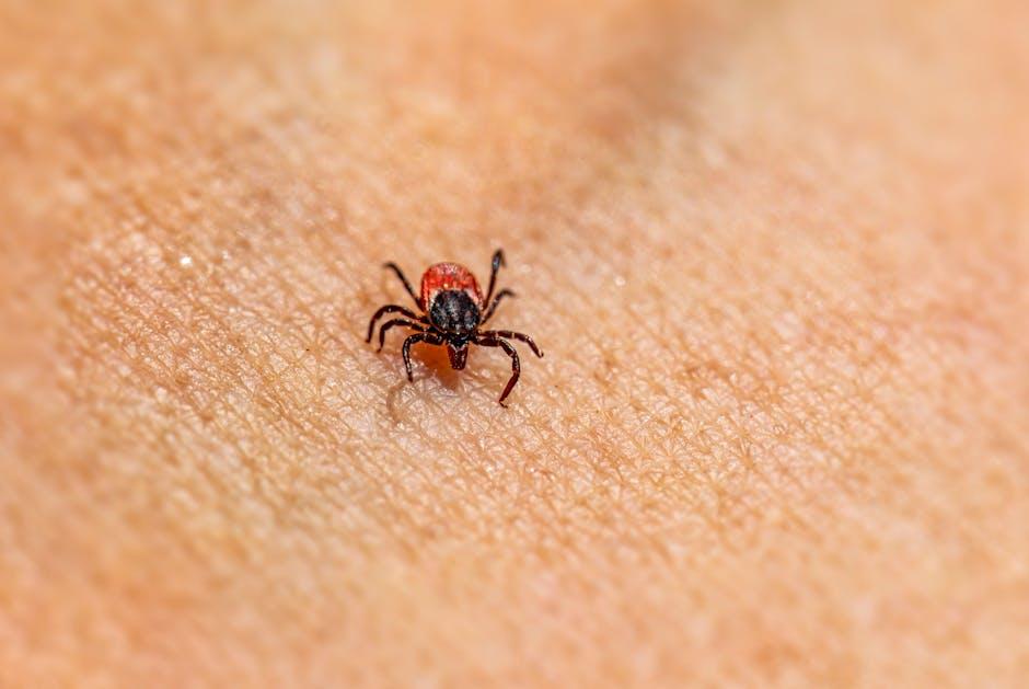 Creating a Parasite Prevention Routine