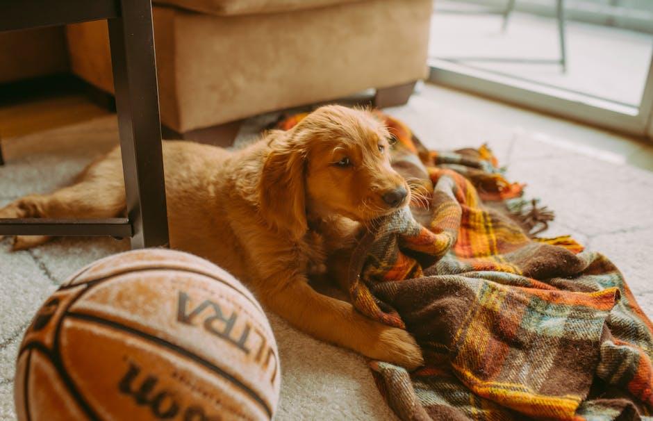 Creative Challenges: Engaging Your Puppys Mind and Body