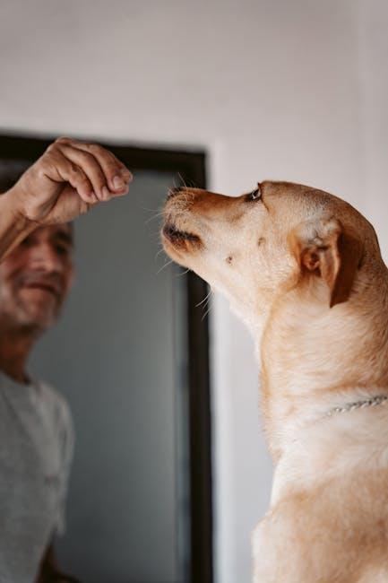 Building Trust and Understanding: Positive Reinforcement Techniques for Your Pup