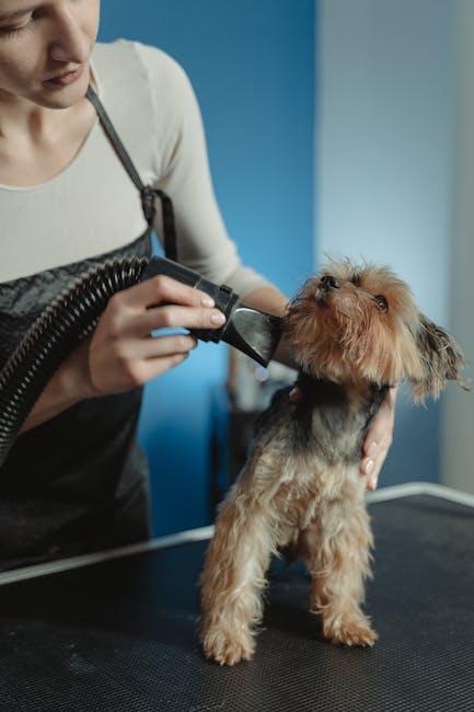 Gentle Techniques for a Stress-Free Grooming Experience