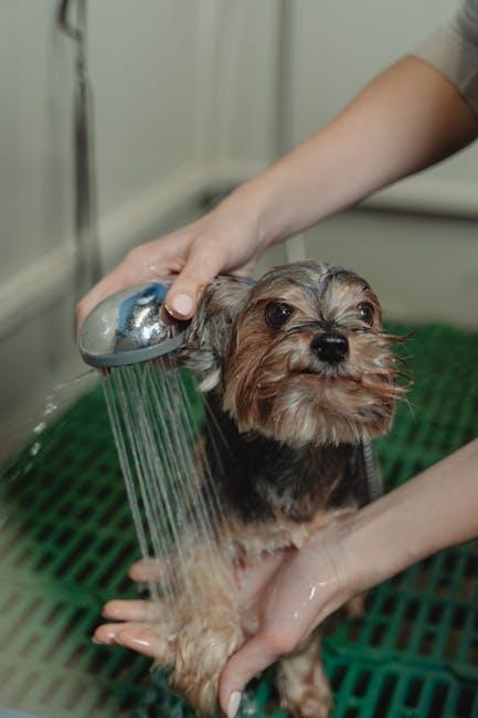 Creating a Calm and Comfortable Bathing Environment