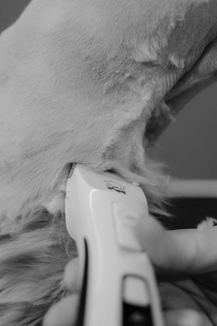 Choosing the Right Tools for a Stress-Free Nail Trim