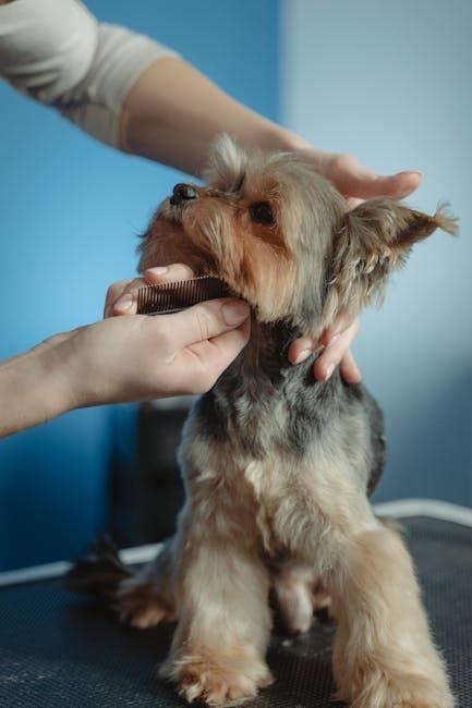 Brushing Techniques for a Shiny Coat