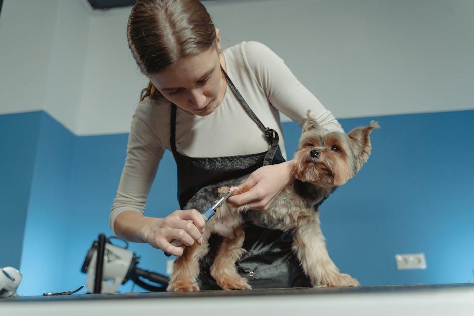 Gentle Techniques for Wiping Away Dirt and Debris