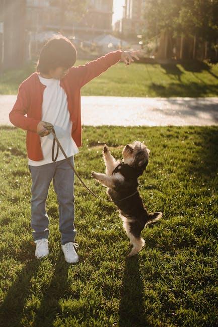 Step-by-Step Techniques to Encourage Calm Walking