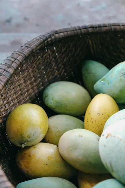 Tips for Regularly Checking and Maintaining Food Freshness