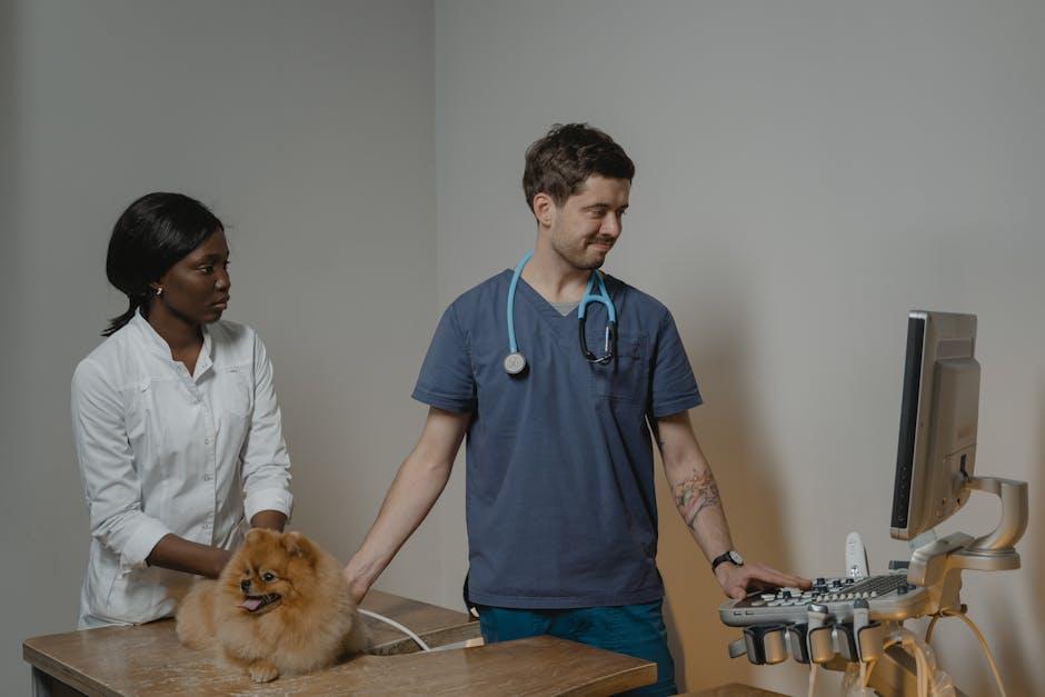 Understanding the Importance of Regular Veterinary Check-ups