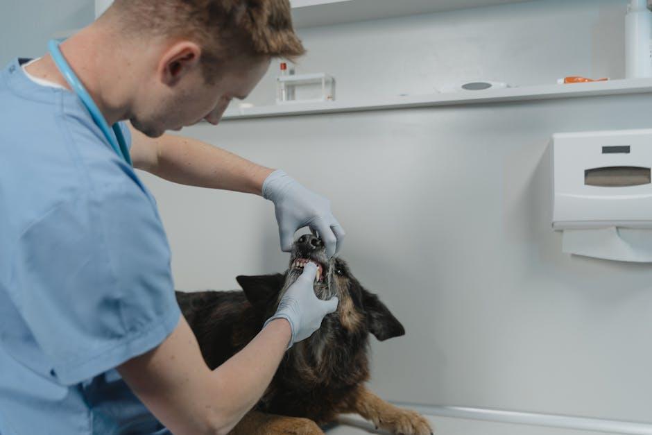 Scheduling Regular Veterinary Check-Ups