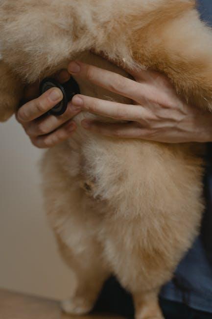 The Role of Regular Exercise in Maintaining Your Puppys Health