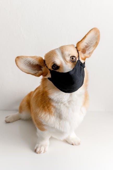 When to Consult a Veterinarian for Your Puppy’s Ear Health