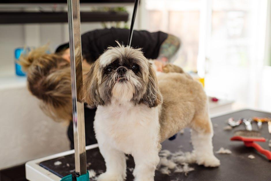 Establishing a Bathing Routine to Keep Your Puppy Healthy and Happy