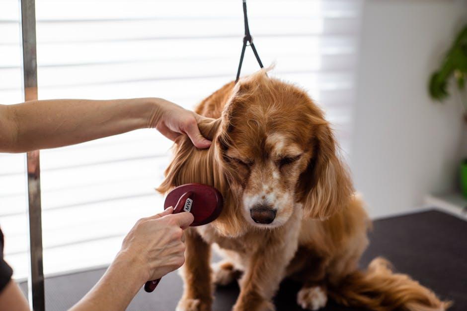 Additional Tips and⁣ Tricks for a ​Glossy, Healthy Puppy Coat