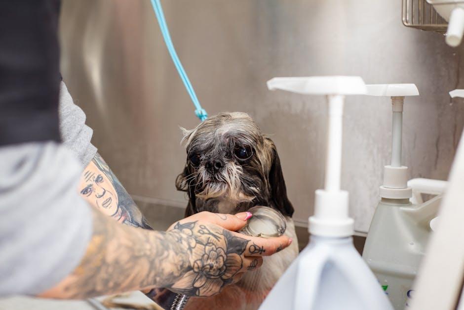 Step-by-Step Guide to a Gentle and Thorough Clean
