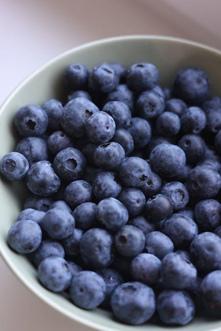 Understanding‌ the Role of⁣ Fiber and⁢ Probiotics in Puppy Food