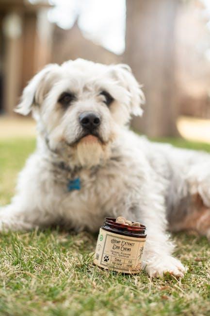 Incorporating Healthy Treats into Your Puppy’s Diet
