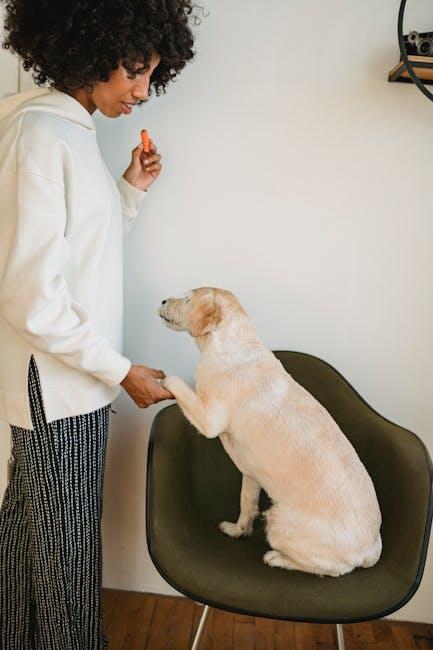 Understanding the Basics of Positive Reinforcement for Puppies