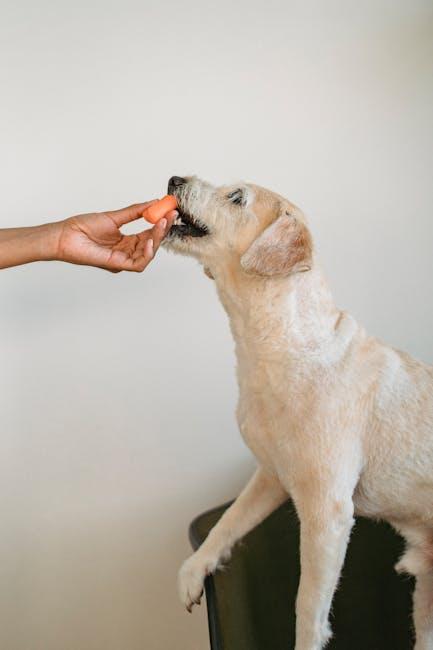 Top Vet-Recommended Puppy Foods for Optimal Joint Health