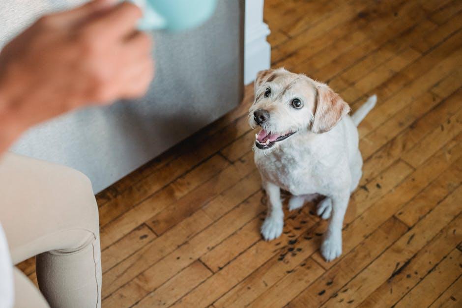 Encouraging Socialization with Gentle Guidance and Patience