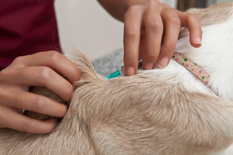 Creating a Vaccination Schedule for Optimal Health