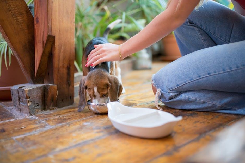 Portion Control: How Much to Feed Based on Breed and Age