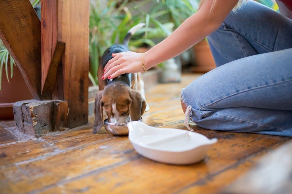 Portion Control: Finding the Perfect Balance for Your Growing Pup