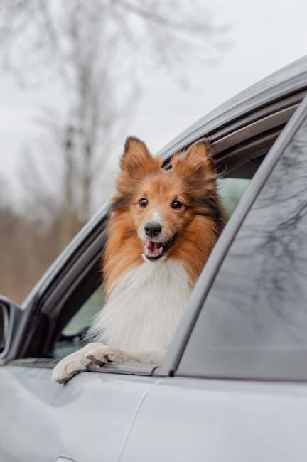 Essential Supplements and Treats for a⁢ Happy, Healthy Pup