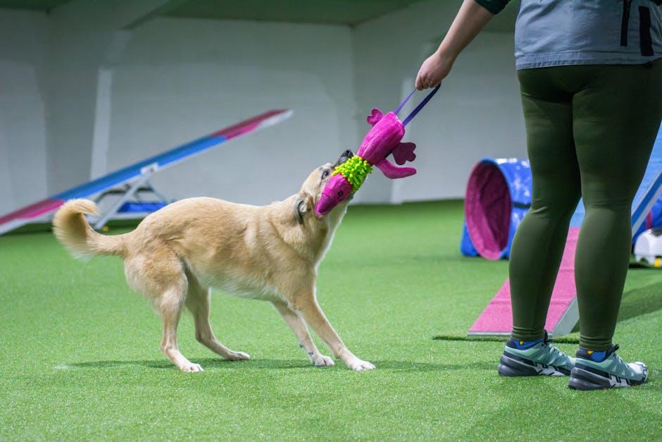 Addressing Common Puppy Challenges with Patience and Love