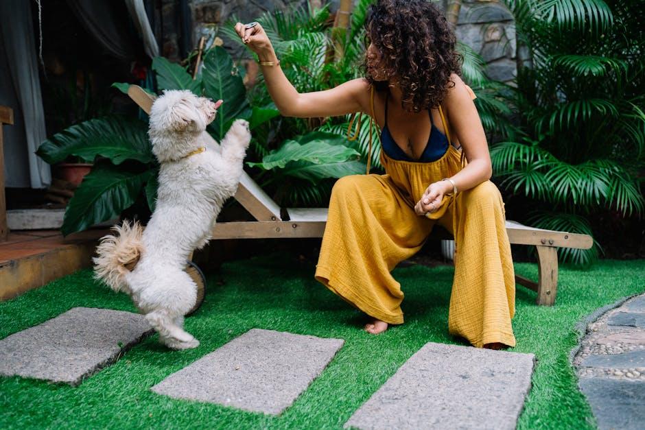Positive Reinforcement Techniques for Lasting Obedience