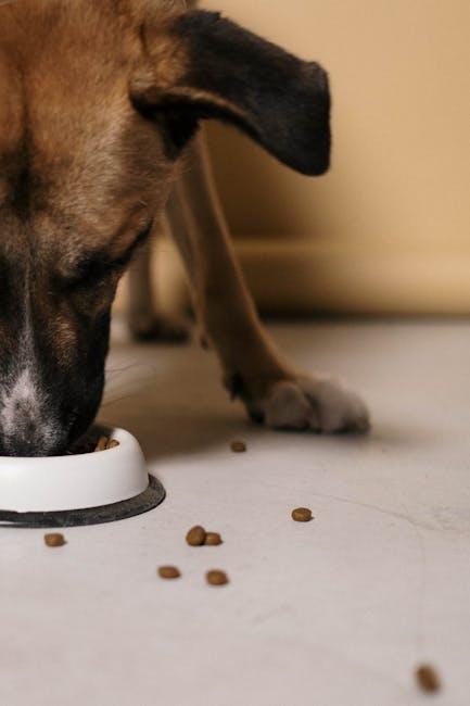 Expert Recommendations for Top Large Breed ⁢Puppy Foods