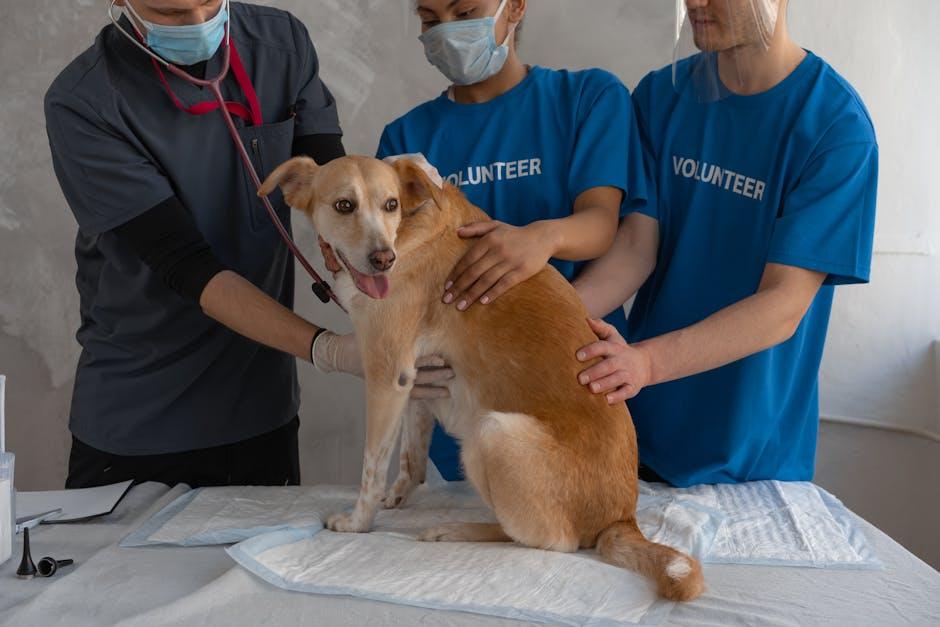 Establishing a Consistent Veterinary Care Routine for Lifelong Health