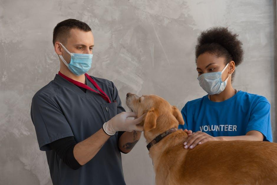 Creating a Parasite Prevention Plan Tailored to Your Puppys Needs