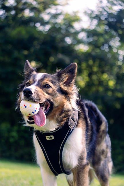Choosing the Right Nutrients for Your Puppys Growth