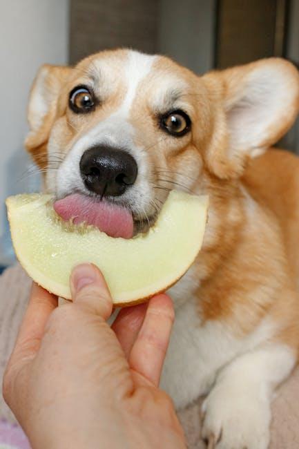 Nourishing Your​ Puppy with the Right Diet for Immunity Boost