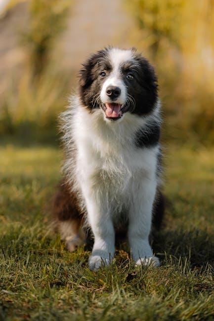Crafting Homemade Remedies to Keep Your Puppy Pest-Free
