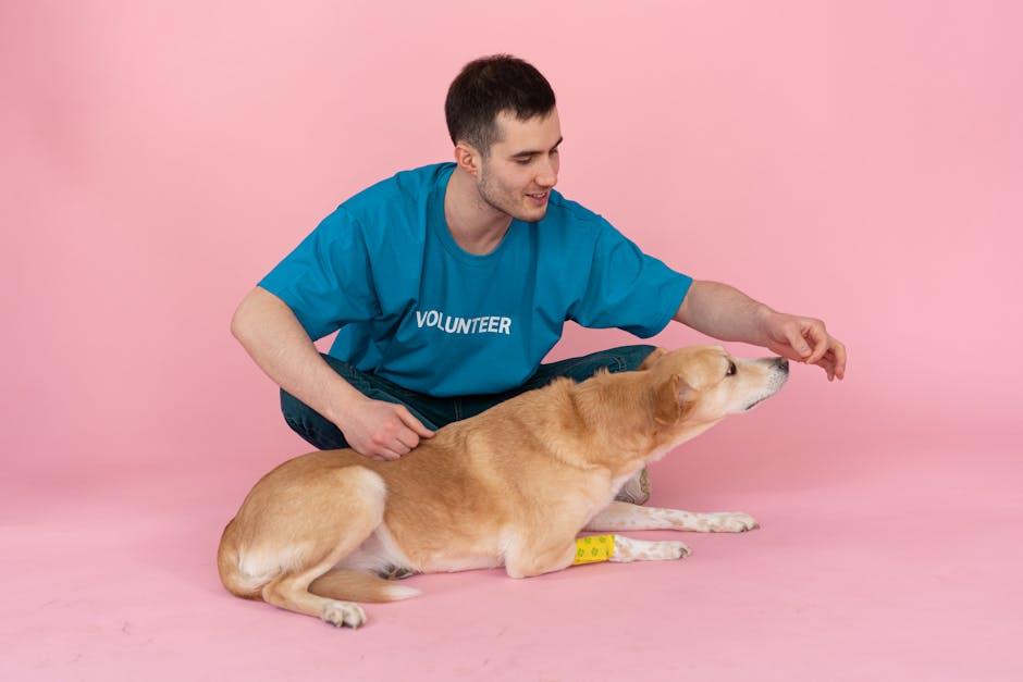 Top Puppy Food ​Brands Recommended by Veterinarians