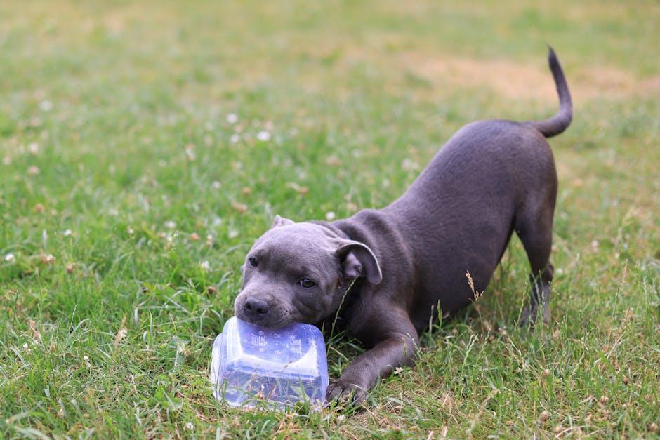 Gentle Techniques ​to Redirect Your Puppys ⁢Biting Instincts