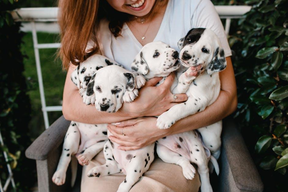 Understanding Common Parasites in Puppies and Their Impact