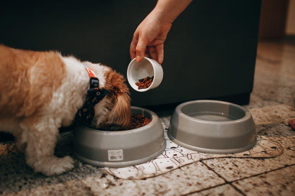 Monitoring and Adjusting Your Puppys Diet
