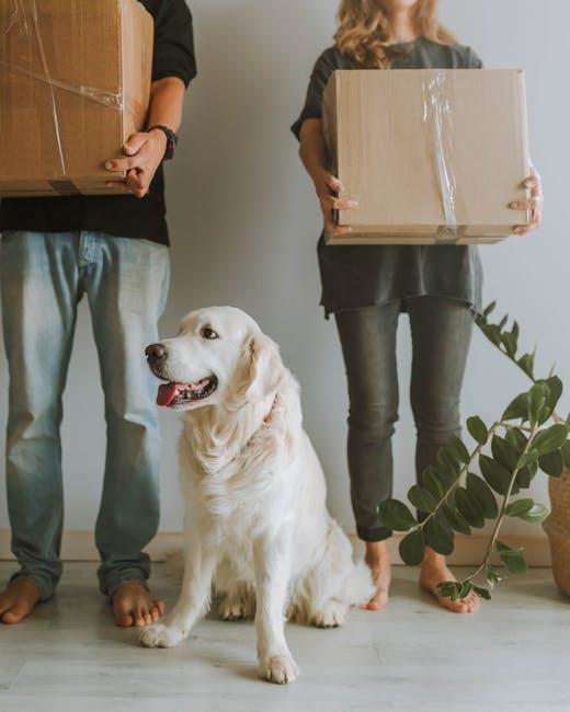 Choosing the Right Time‌ to Transition ⁣Your⁤ Puppys‍ Diet