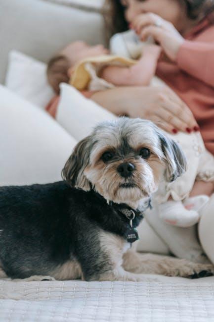 Proper Nutrition for Your Puppys Growth and Vitality