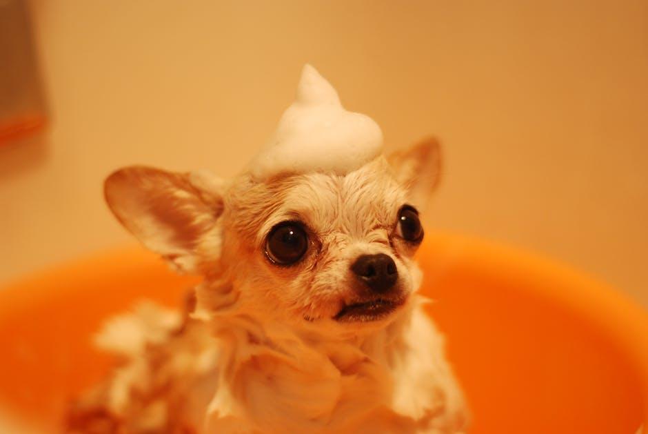 Choosing the Right Shampoo and Bathing Techniques for Your Puppy