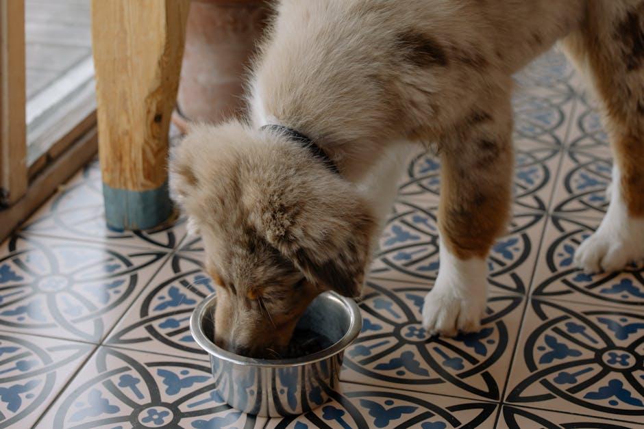 Crafting the Perfect Meal Plan for ⁤Your​ Puppy