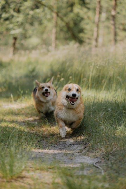 Tailored ‍Recommendations for Different Breeds and Sizes