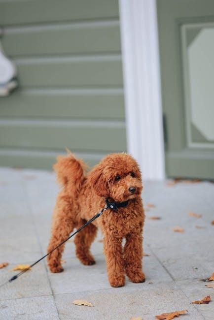 Recommended Veterinary Treatments and Natural Remedies for Puppy Parasite Control