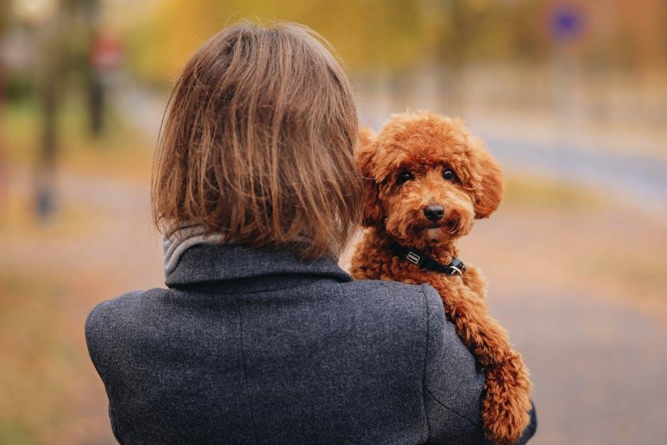 Choosing the Right Products for Seasonal Coat Care and Puppy Comfort