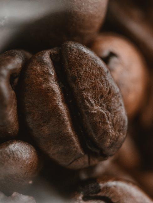 Key Ingredients to Look for in Quality Puppy Food